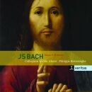 Bach Johann Sebastian - Messe H-Moll (Diverse Interpreten)