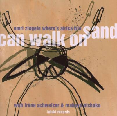 Ziegele Omri / Schweizer Irene / u.a. - Can Walk On Sand