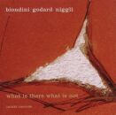 Luciano Biondini / Michel Godard / Lucas Niggli - What Is...
