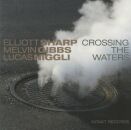 Elliott Sharp / Gibbs Melvin - Crossing The Waters