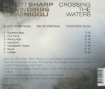 Elliott Sharp / Gibbs Melvin - Crossing The Waters