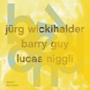 Jürg Wickihalder Barry Guy Lucas Niggli - Beyond