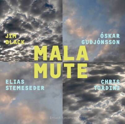 Jim Black - Malamute