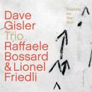 Rabbits On The Run - Dave Gisler Trio
