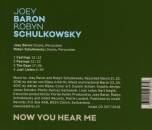 Now You Hear Me (Diverse Interpreten)