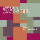 Aruan Ortiz / Andrew Cyrille / Mauricio Herrera - Inside...