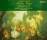 Mendelssohn Felix (1809-1847) - Twelve String Symphonies (London Festival Orchestra - Ross Pople (Dir))