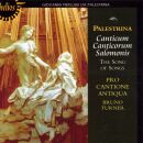 Palestrina - Song Of Songs (PRO CANTIONE ANTIQUA / BRUNO TURNER)