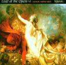 Liszt Franz - Liszt At The Opera Vi (Howard Leslie)