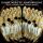 Dove Jonathan (*1959) - Choral Music (Wells Cathedral Choir - Matthew Owens (Dir))