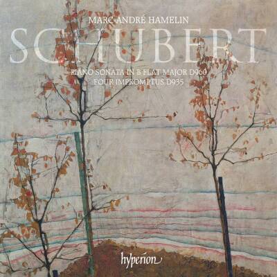 Schubert Franz - Piano Sonata D960 - Four Impromptus D935 (Hamelin Marc-Andre)