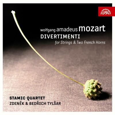 Mozart Wolfgang Amadeus (1756-1791) - Divertimenti For Strings & Two French Horns (Zdenek & Bedrich Tylsar (Horn) - Stamic Quartet)