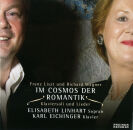 Liszt/ Wagner - Im Cosmos Der Romantik (Linhart/ Eichinger)