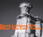 Lantner Steve Trio - What You Can Throw
