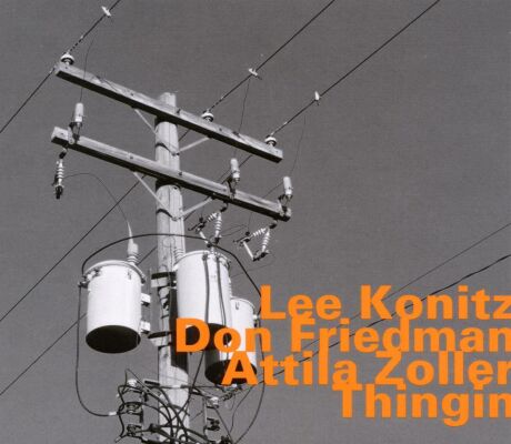 Konitz Lee / Friedman David / Zoller Attila - Thingin