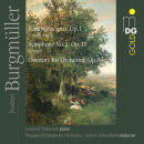 Burgmueller, Norbert - Symphony No. 2, Piano Concert (Wuppertal Symphony Orchestra, Hokanson)