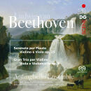 Beethoven Ludwig van - Chamber Music (Ardinghello Ensemble)