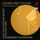 Schleiermacher Steffen (*1960) - Sound And Colour (Ensemble Avantgarde - sonic.art Saxophone Quartet)