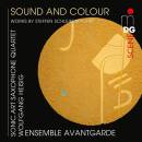 Schleiermacher Steffen - Sound And Colour (Ensemble...