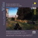 Witte Georg Hendrik - Chamber Music (Mozart Piano Quartet)