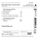 Feuchtwanger / Brahms - A Lesson With Peter Feuchtwanger (Felix Lennart)