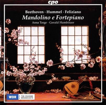 Beethoven Ludwig van / u.a. - Mandolino E Fortepiano (Torge Anna)