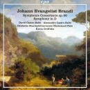 Brandl Johann Evangelist - Symphonies & Overture...
