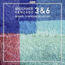 Bruckner Anton - Symphonies 3 & 6 (Berner SO - Mario...