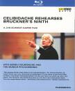 Bruckner Anton - Sinfonie 9 Rehearsal (Diverse Interpreten)