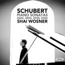 Schubert Franz - Piano Sonatas (Wosner Shai)