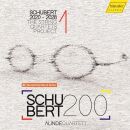 Schubert Franz - String Quartets Project 1, The (Alinde Quartett)