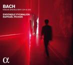Bach Johann Sebastian - Missae Breves Bwv 234 & 235...