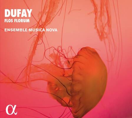 Dufay Guillaume - Flos Forum (Ensemble Musica Nova)
