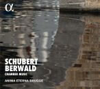 Schubert - Berwald - Chamber Music (Anima Eterna Brugge)