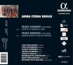 Schubert Franz / u.a. - Chamber Music (Anima Eterna Brugge)