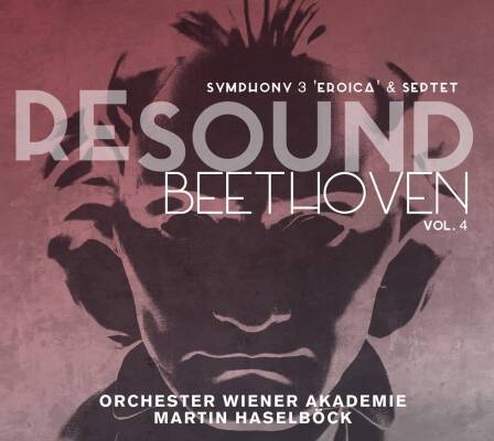 Beethoven Ludwig van - Resound Beethoven Vol.4 (Orchester Wiener Akademie / Haselböck Martin)