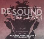 Beethoven Ludwig van - Resound Beethoven Vol.4 (Orchester Wiener Akademie - Martin Haselböck (Dir))