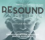 Beethoven Ludwig van - Resound Beethoven Vol.6 (Gottlieb...