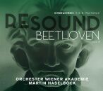 Beethoven Ludwig van - Resound Beethoven Vol.8 (Orchester...