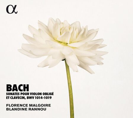 Bach Johann Sebastian (1685-1750) - Sonates Pour Violon Obligé Et Clavecin (Florence Malgoire (Violine))