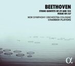 Beethoven Ludwig van - String Quintets Op.29 & 104:...