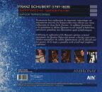 Schubert Franz - Quartettsatz, D703 (Quatuor Terpsycordes)