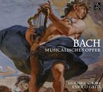 Bach Johann Sebastian - Musicalisches Opfer (Enrico Gatti...