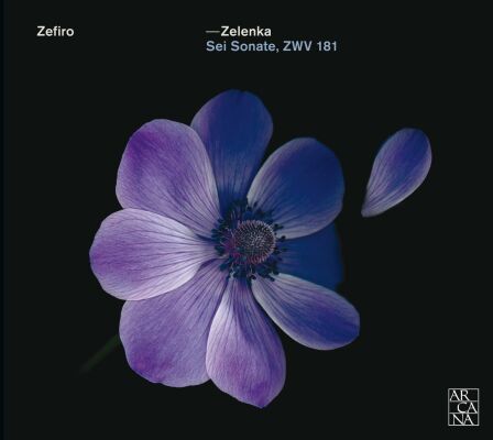 Zelenka Jan Dismas (1679-1745) - Sei Sonate (Zefiro)