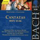 Bach Johann Sebastian - Cantatas Vol.27 (Bach-Ensemble /...