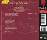 Bach Johann Sebastian - Secular Cantatas (Bach-Collegium Stuttgart / Rilling Helmuth / BWV 202-204)