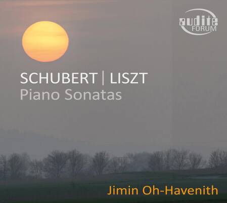 Schubert - Liszt - Piano Sonatas (Jimin Oh-Havenith (Piano)
