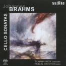 Brahms Johannes - Cello Sonatas (Wick Tilmann / Devoyon...