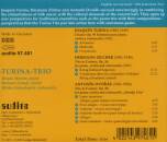 Turina Joaquin / u.a. - Piano Trios (Turina-Trio)