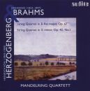 Brahms - Von Herzogenberg - String Quartets (Mandelring...